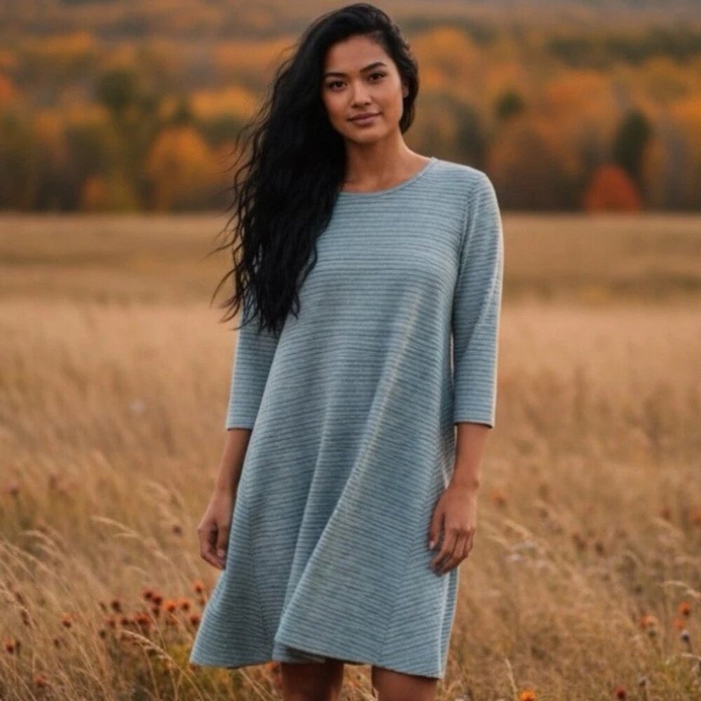 Striped A-Line Lyocell Dress in size Medium by Garnet Hill